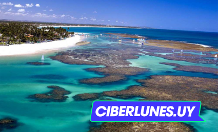 Porto de Galinhas - desde Agosto